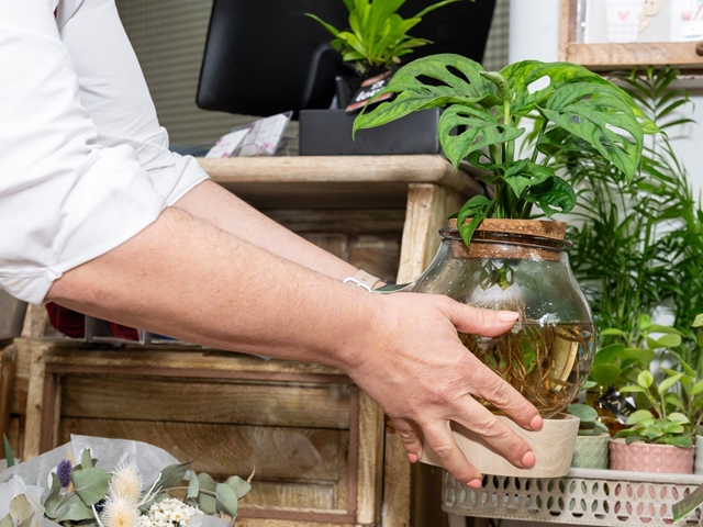 3 consejos si tienes plantas y mascotas en casa