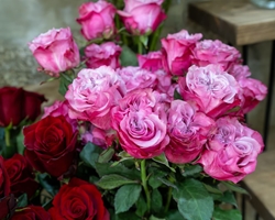 5 trucos para conseguir que nuestros ramos de flores aguanten perfectos más tiempo