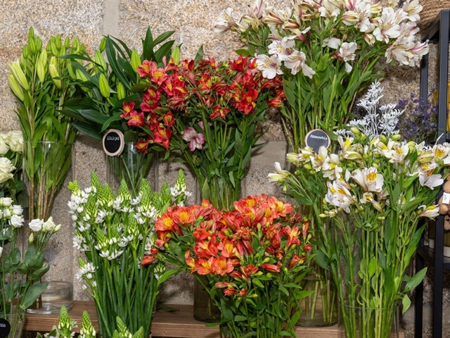 7 flores perfectas para regalar en primavera que nunca fallan