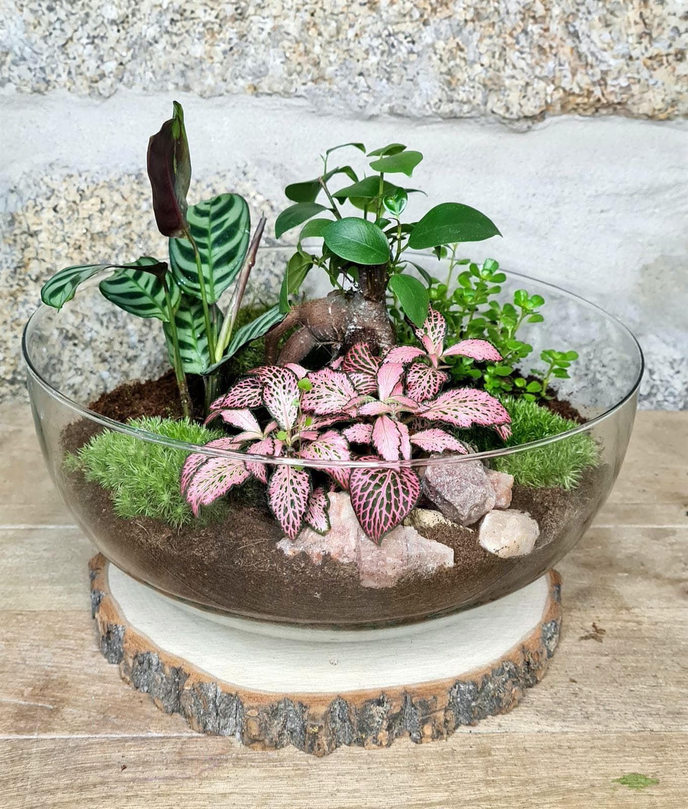 ¿Buscas una alternativa a las flores este Día de la Madre? ¡Elige nuestras plantas y terrarios! - Imagen 2