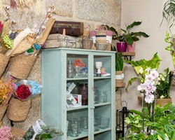 El frío y las flores: todo lo que debes saber en nuestra floristería