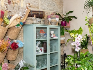 El frío y las flores: todo lo que debes saber en nuestra floristería