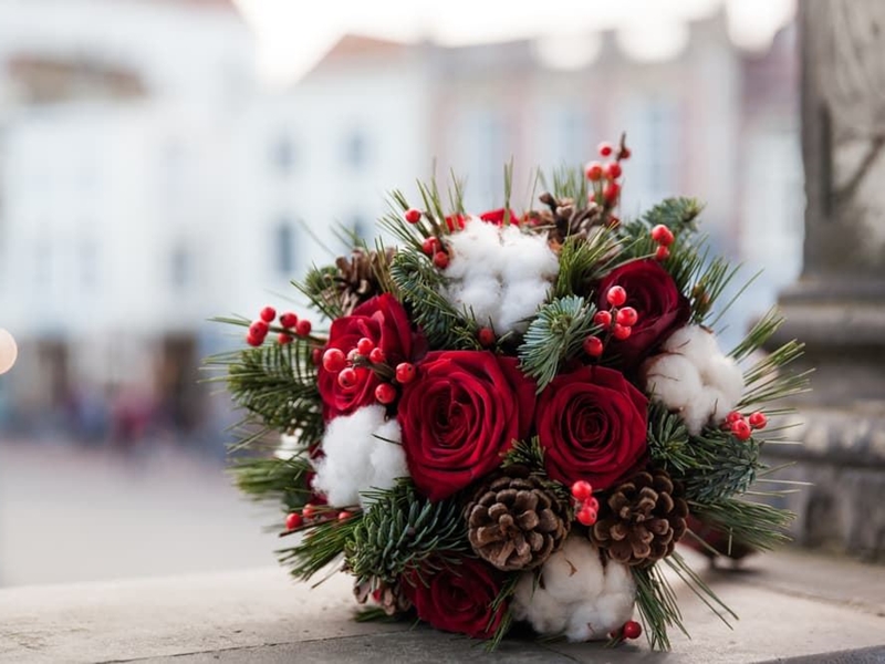 Las flores que no pueden faltar en tu casa esta Navidad