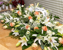 Plantas y flores para el día de todos los Santos