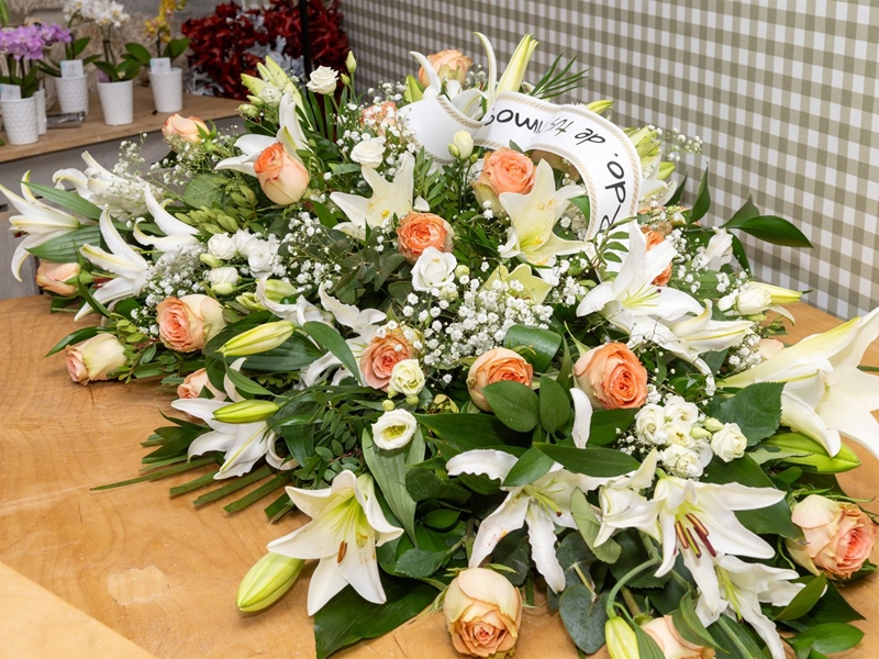 Plantas y flores para el día de todos los Santos