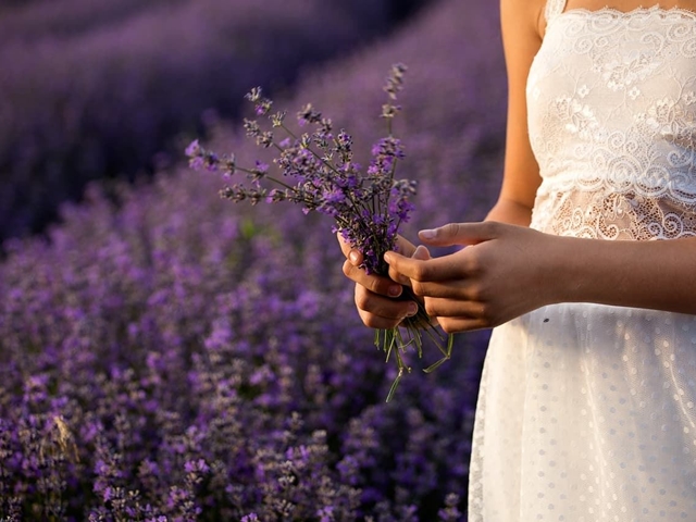 ¿Qué flores no pueden faltar en un ramo silvestre?