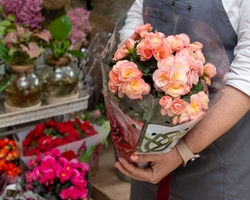¿Qué flores prefieren las madres? El ranking según lo que más se regala