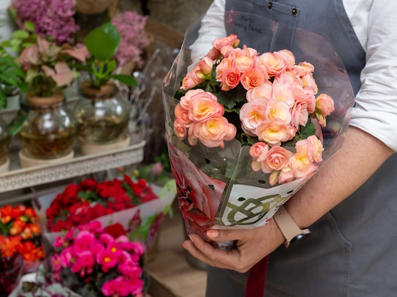 ¿Qué flores prefieren las madres? El ranking según lo que más se regala