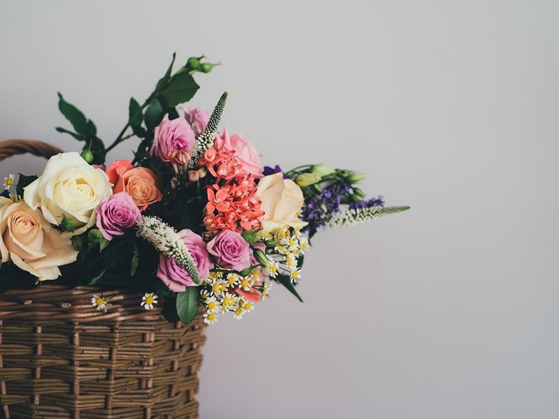 ¿Qué flores son las más típicas para regalar en Navidad?