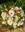 Bouquet novia lisiantos. - Imagen 2