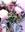 BOUQUET SICILIA - Imagen 2