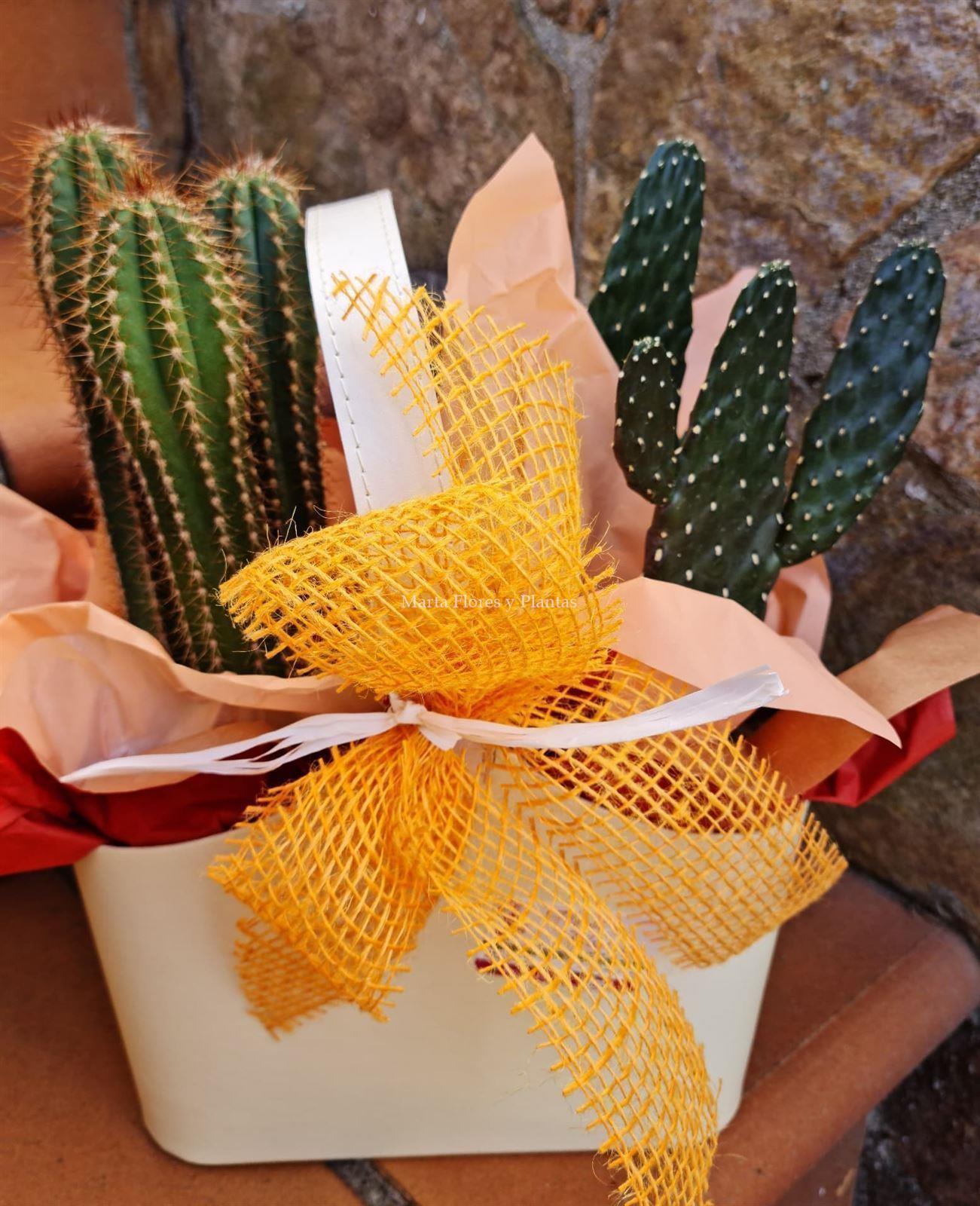 Caja cactus 1 - Imagen 2