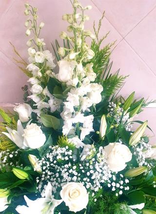 Centro Athenas. - Imagen 2