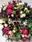 Coronita Silvestre - Imagen 2