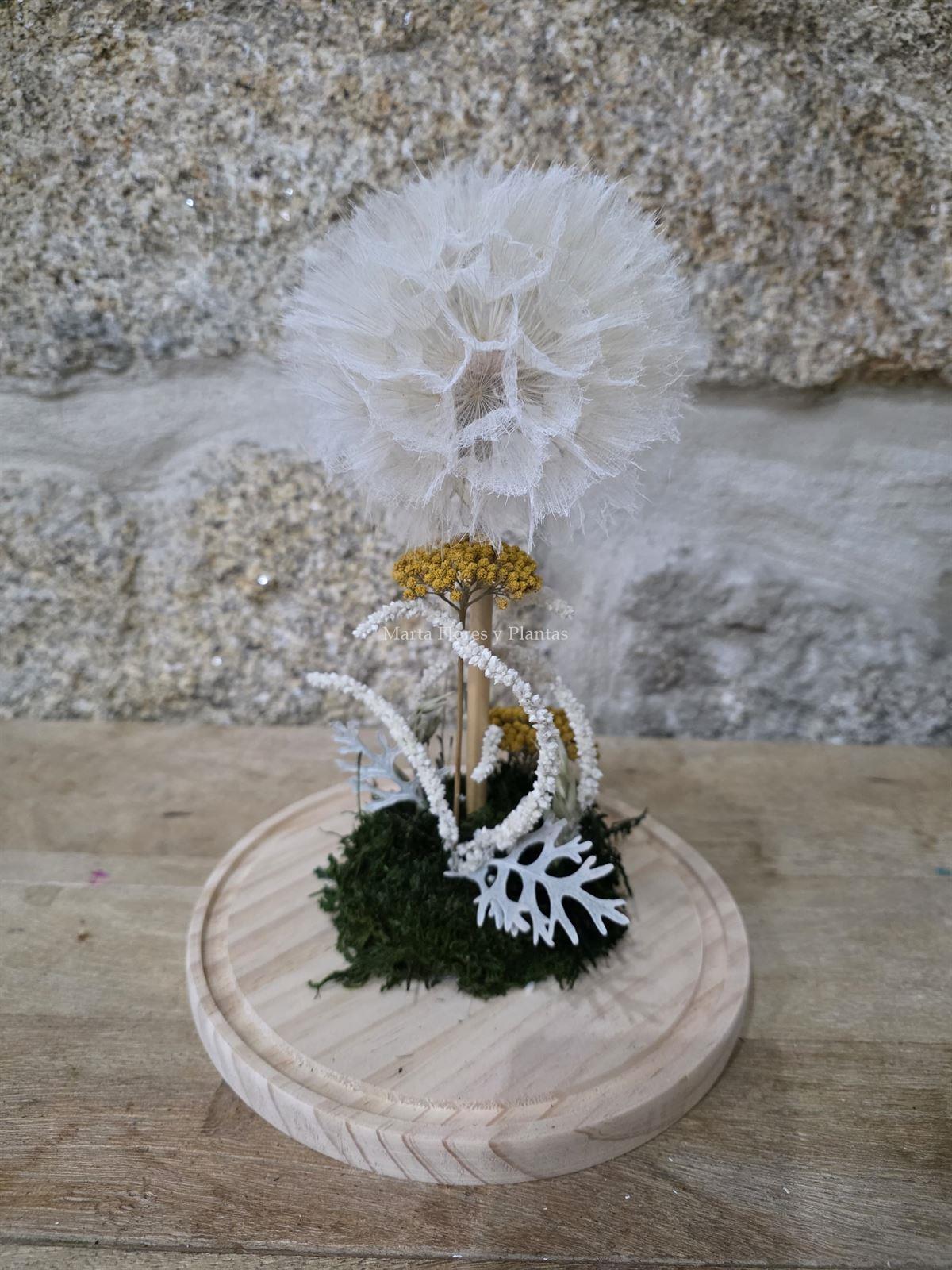 DIENTE DE LEÓN - Imagen 1