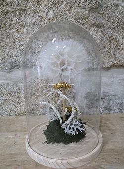 DIENTE DE LEÓN - Imagen 2