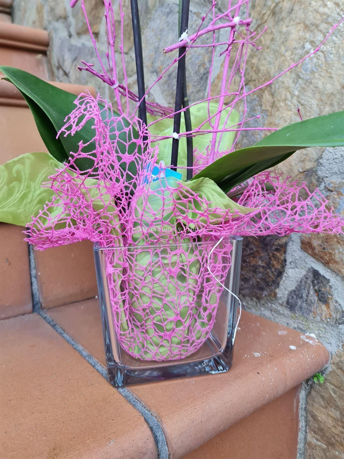 Phalaenopsis en cristal cuadrado - Imagen 2