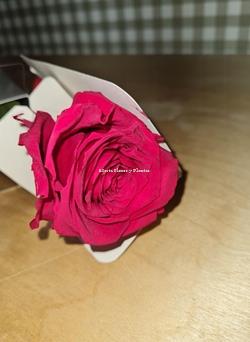 Rosa Eterna colores larga - Imagen 1