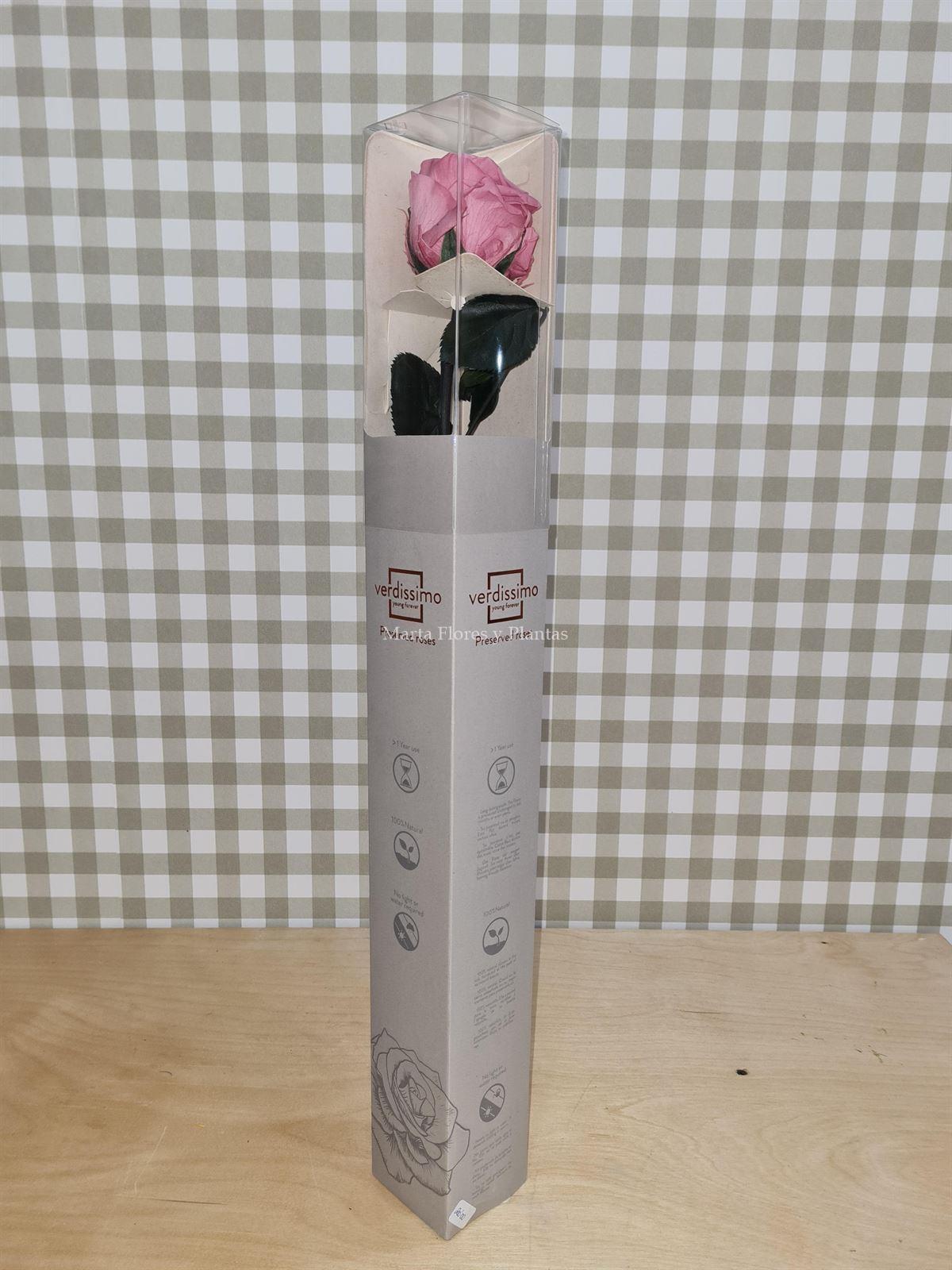 Rosa Eterna colores larga - Imagen 3