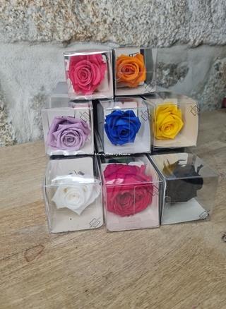 Rosa Eterna colores - Imagen 1