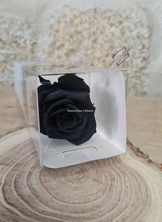 Rosa Eterna colores - Imagen 2