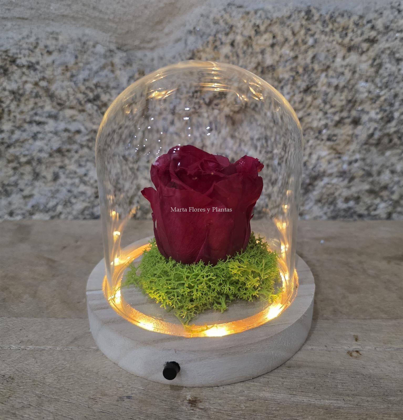 ROSA ETERNA EN CÚPULA LED - Imagen 1