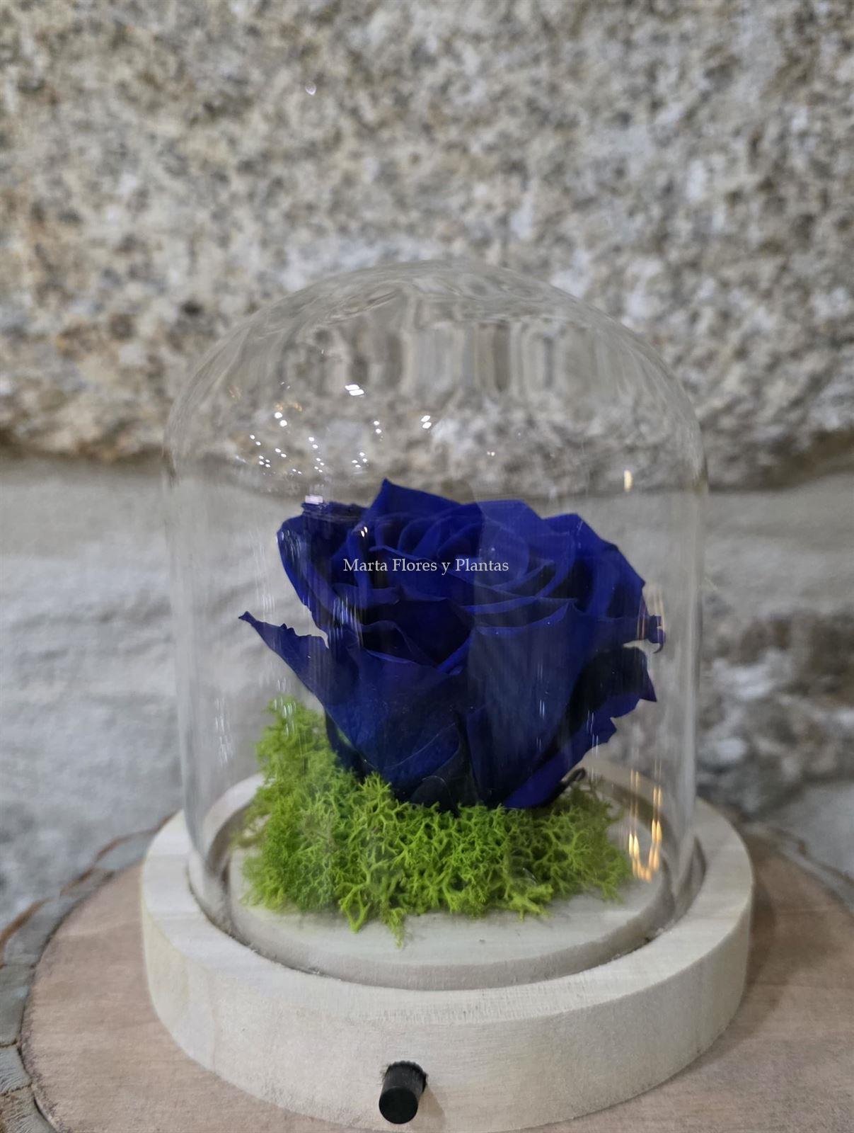 ROSA ETERNA EN CÚPULA LED - Imagen 3