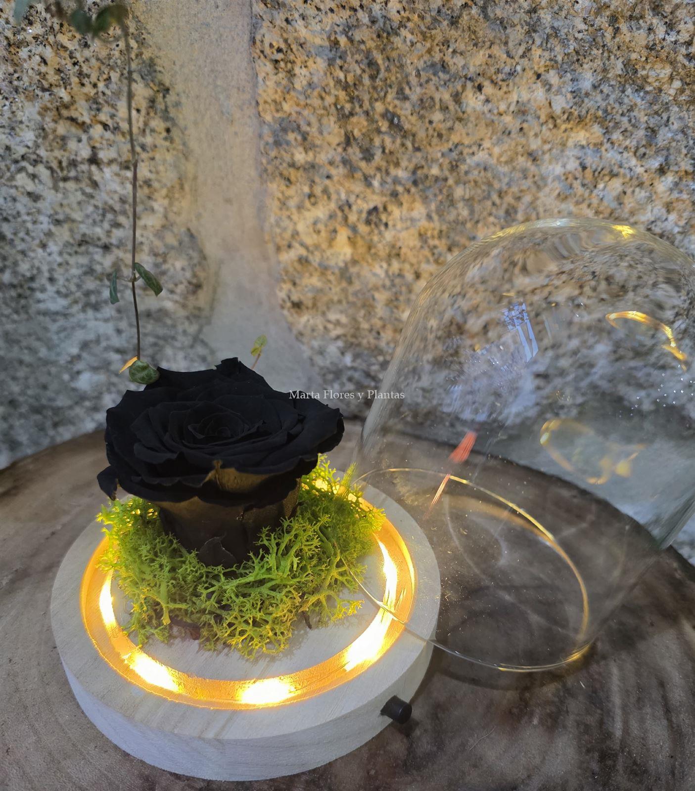 ROSA ETERNA EN CÚPULA LED - Imagen 5