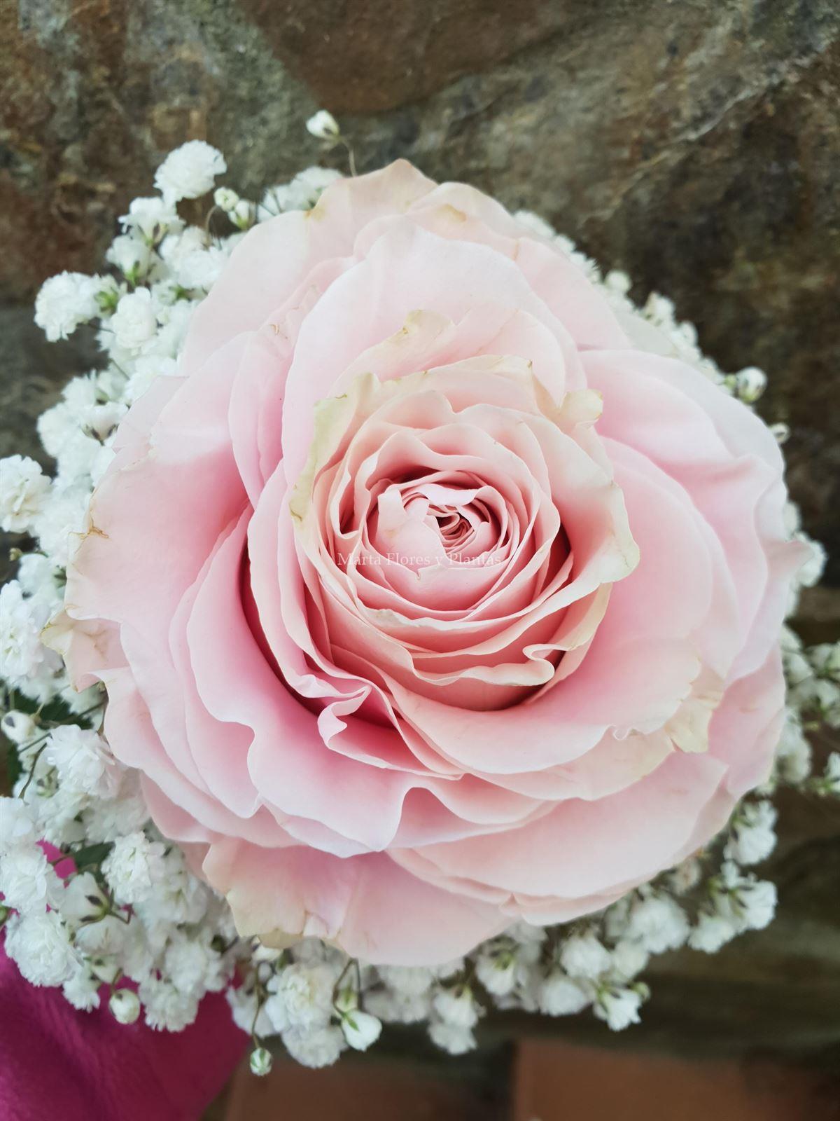 Rosmelia ESPECIAL NOVIAS