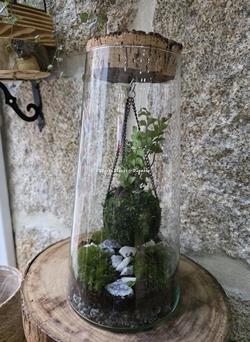 TERRARIO CON KOKEDAMA - Imagen 1