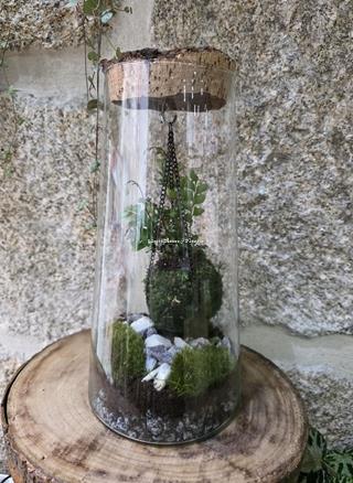 TERRARIO CON KOKEDAMA - Imagen 2