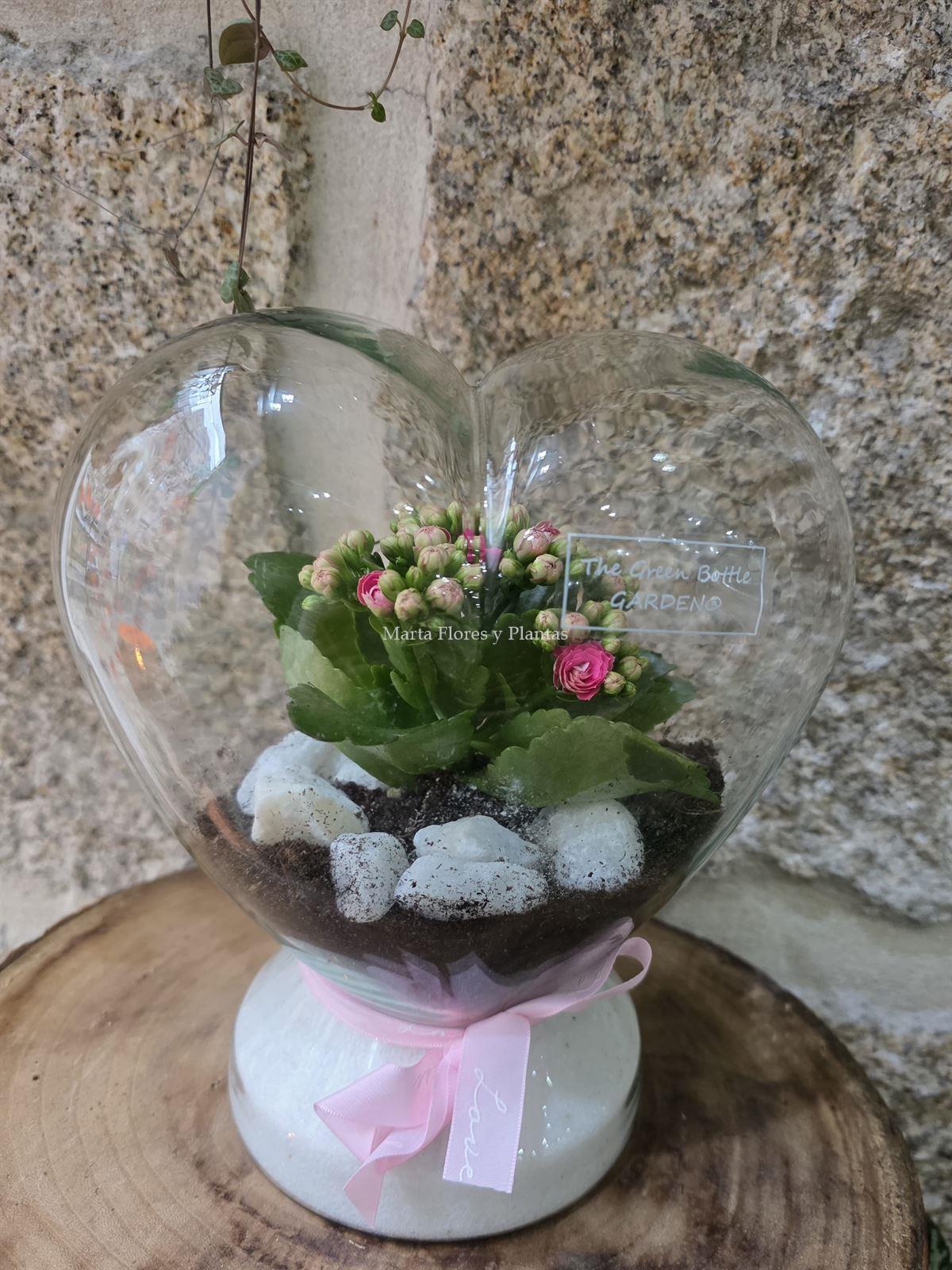 TERRARIO CORAZÓN - Imagen 1