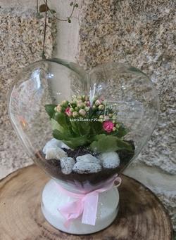 TERRARIO CORAZÓN - Imagen 1