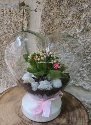 TERRARIO CORAZÓN - Imagen 1