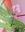 VANDA - Imagen 2